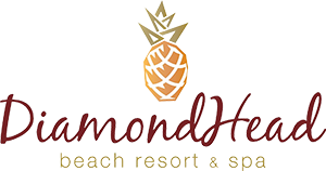 diamondhead-logo---fmb-sand-sculpting