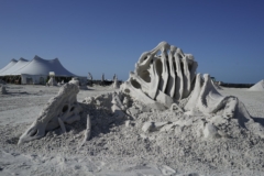 dinosaur bones sand sculpture